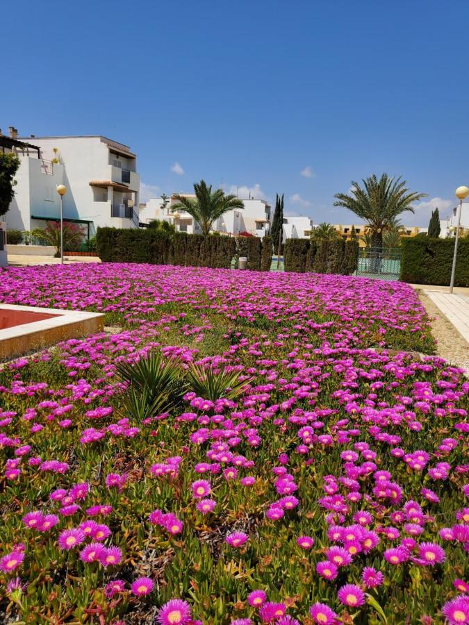 Apartamento En Primera Linea De Vera Playa Naturista! エクステリア 写真